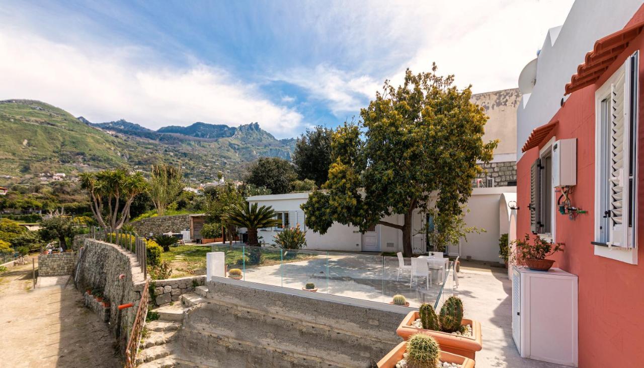 Casa Degli Aranci Forio (Isola d'Ischia) Exterior foto